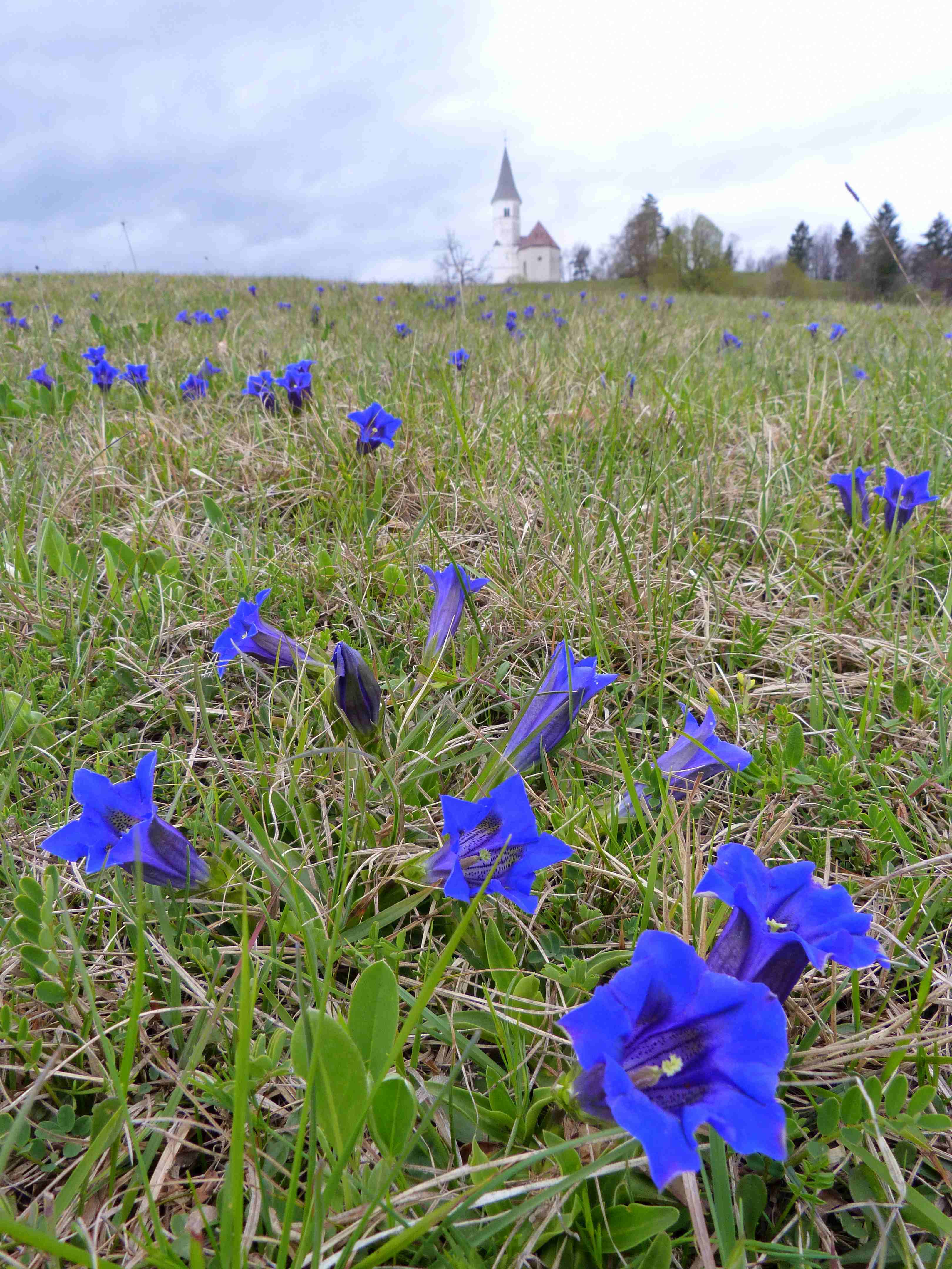 Kozjanski park v aprilu