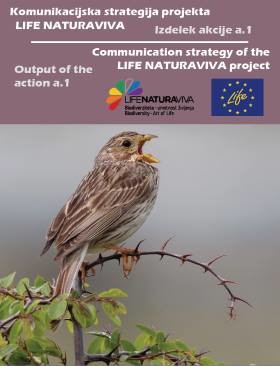 Communication strategy