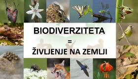PowerPoint lecture about biodiversity