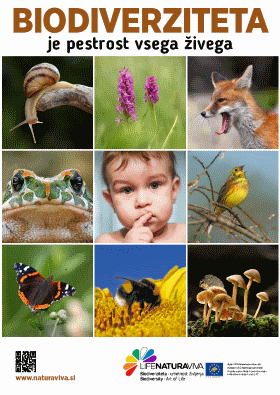 City posters about biodiversity – Slovenia