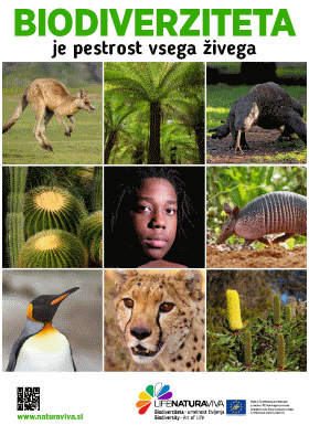 City posters about biodiversity – around the world