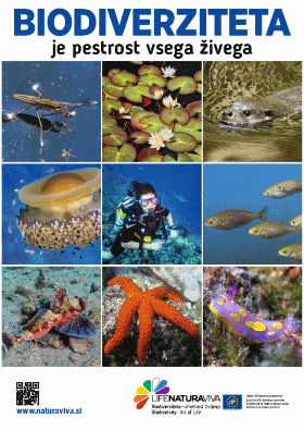 City posters about biodiversity – in water
