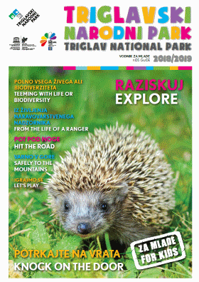 TNP – Junior newsletter