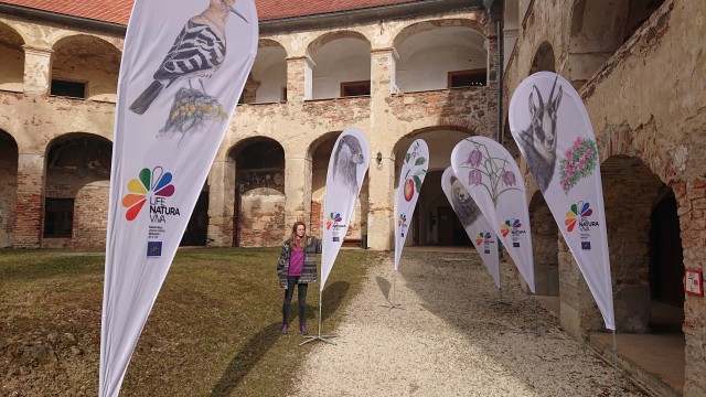 Nove zastave s sporočilnimi vrstami projekta Life Naturaviva
