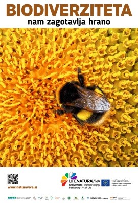 City posters about biodiversity – food