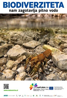 City posters about biodiversity – water