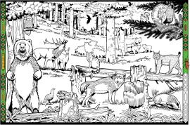 SLOVENIA, EUROPEAN BIODIVERSITY PARK – a colouring book for slightly older curious people