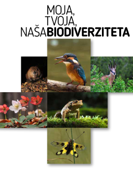 Izdali smo brošuro o biodiverziteti