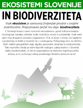 Biodiversity on display panels