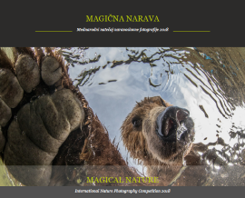 Magical nature 2018