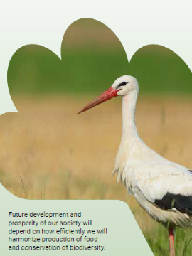 Leaflet Agriculture and biodiversity go hand in hand