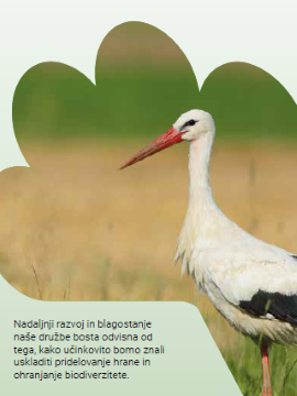 Leaflet Agriculture and biodiversity go hand in hand – SLO