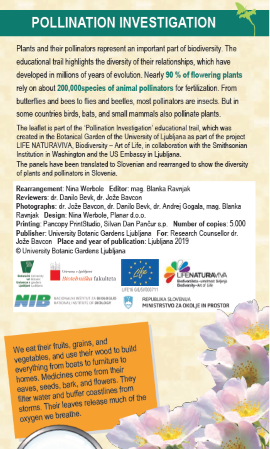 Discover the world of pollination in Botanical Garden