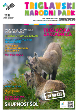 TNP – Junior newsletter 2019