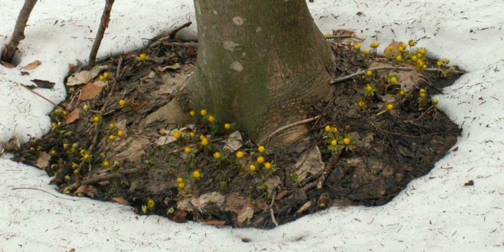 Narava v februarju v Kozjanskem regijskem parku
