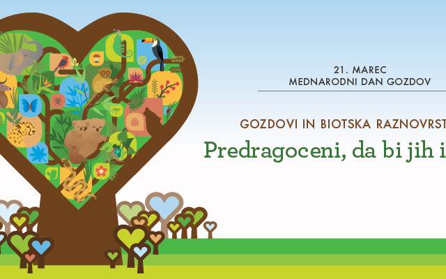 21. marec – Mednarodni dan gozdov
