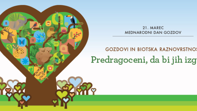 21. marec – Mednarodni dan gozdov