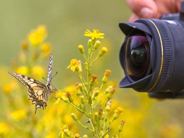 Foto in video natečaj o biodiverziteti za osnovnošolce