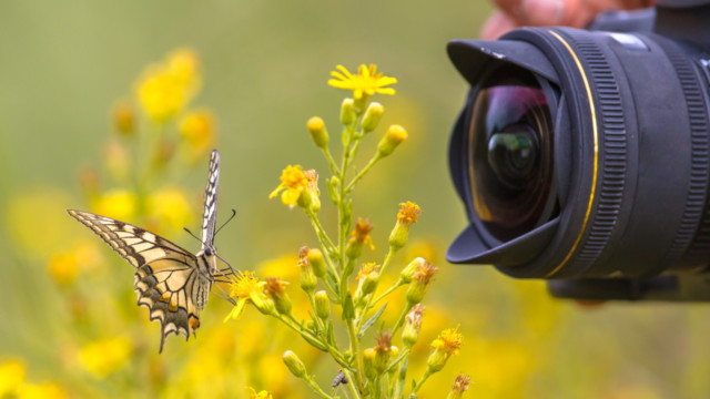 REZULTATI FOTOGRAFSKEGA NATEČAJA “PISANA BIODIVERZITETA”
