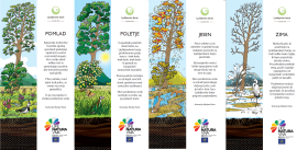 Bookmarks