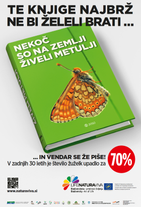 City posters about biodiversity – insects