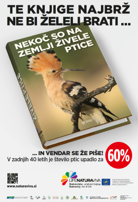 City posters about biodiversity – birds