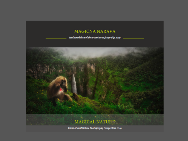 Magična narava 2019 / Magical Nature 2019