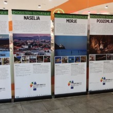 Poletne razstave projekta LIFE Naturaviva