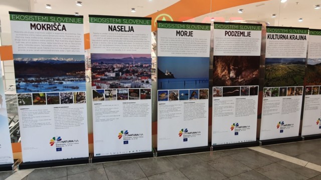 Poletne razstave projekta LIFE Naturaviva