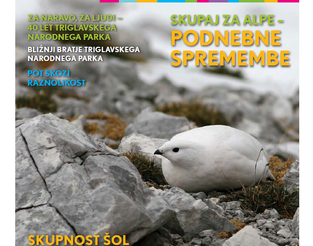 TNP – Junior newsletter 2020