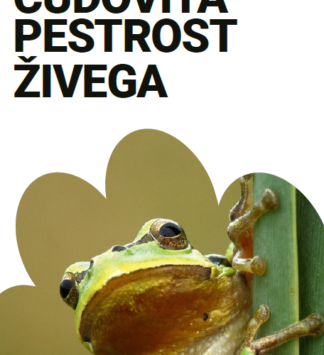 Čudovita pestrost živega – razlaga tem za pogovor