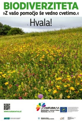 City posters about biodiversity – flowering meadows