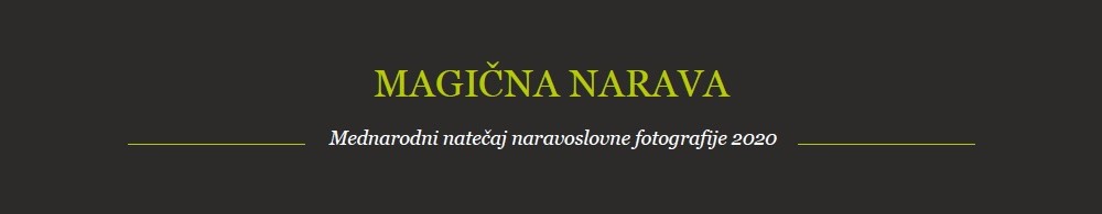 Magična narava 2020