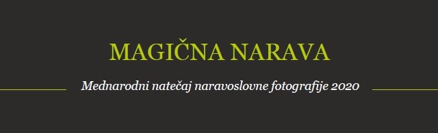 Magical Nature 2020