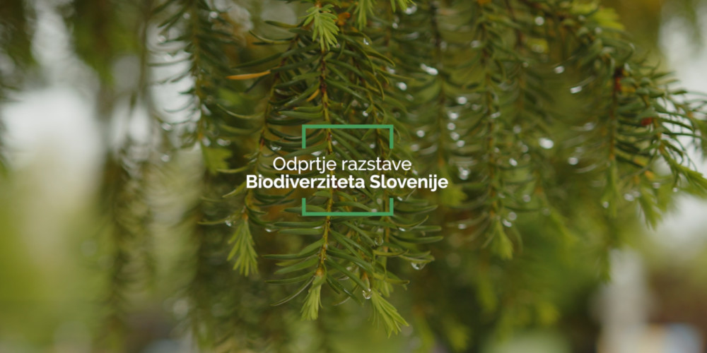 Odprtje razstave Biodiverziteta Slovenije