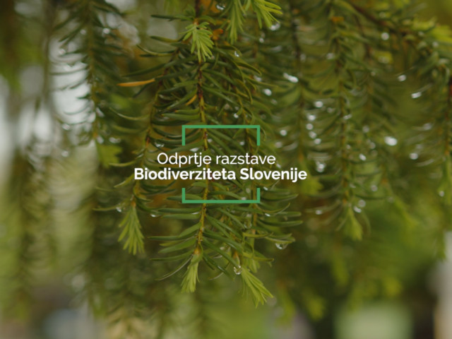 Odprtje razstave Biodiverziteta Slovenije