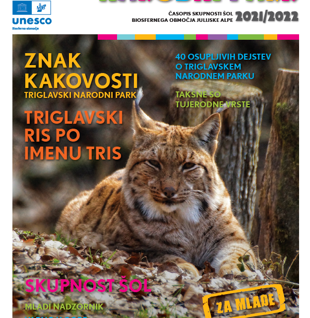 TNP – Junior newsletter 2021