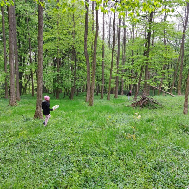 001 Living Treasure Hunt