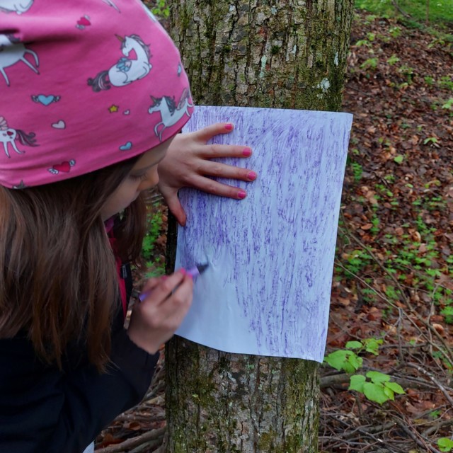 004 Let’s paint the forest