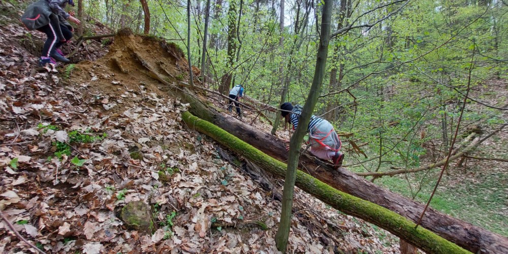 005 Veverička in tatiči