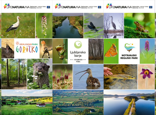 Biodiversity panels