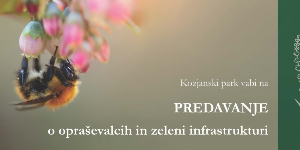Predavanje o opraševalcih in zeleni infrastrukturi
