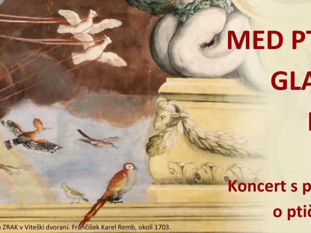 MED PTICAMI, GLASBO IN NEBOM