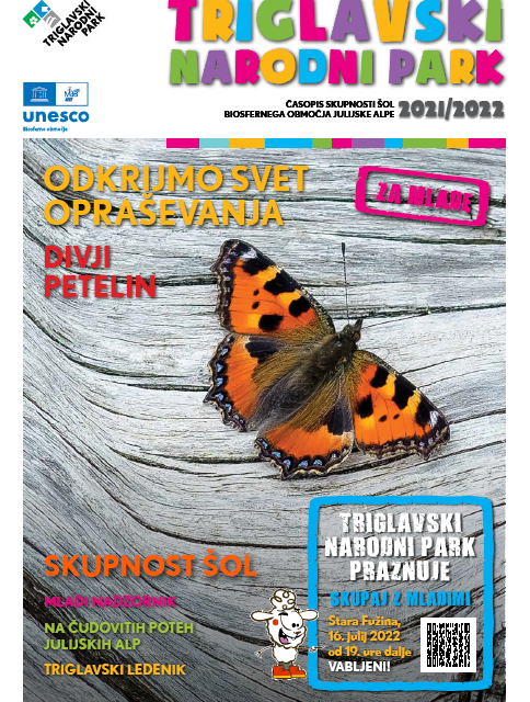 TNP – Junior newsletter 2022