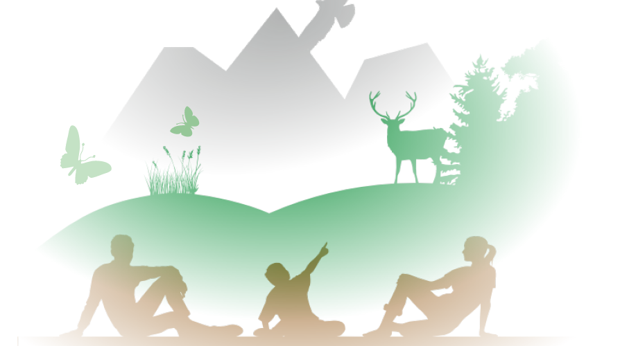 Poljudno poročilo rezultatov projekta LIFE NATURAVIVA