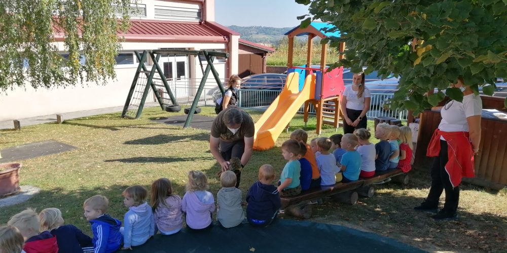 Otroci vrtca Bistrica ob Sotli v živo videli sovo in postovko