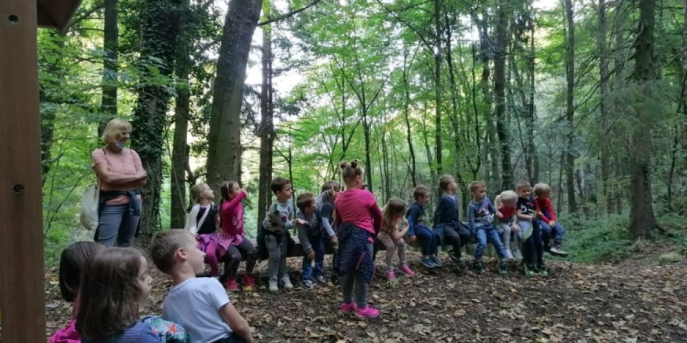 Delavnica o gozdu za otroke iz vrtca Bistrica ob Sotli