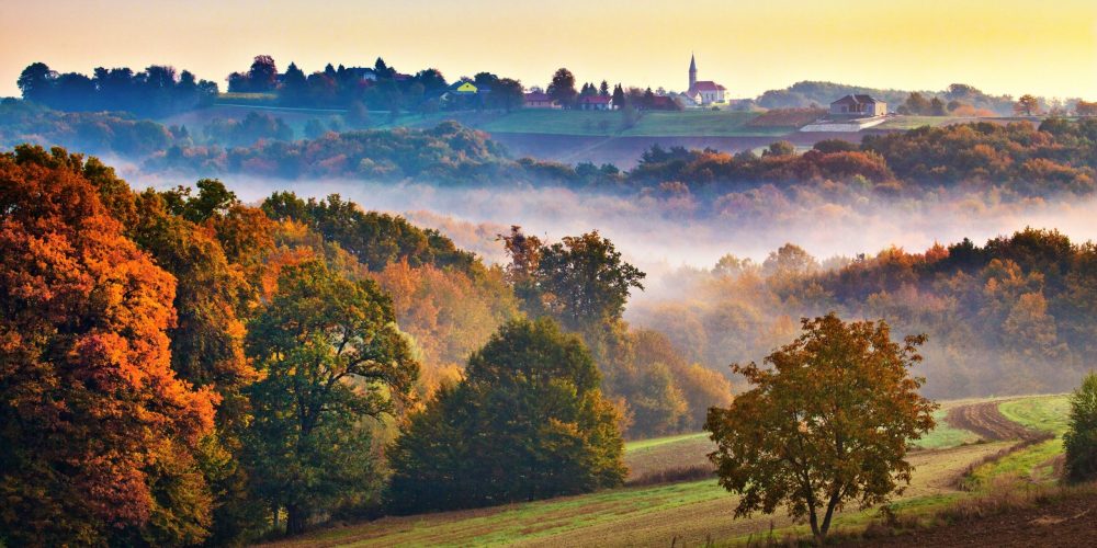 Razstava: Ekosistemi Slovenije in biodiverziteta