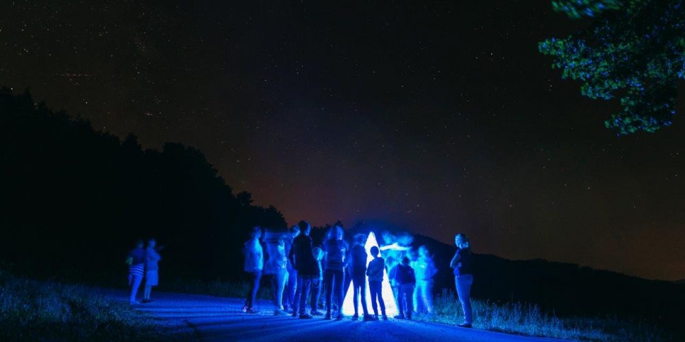 Letni kino in nočno opazovanje metuljev