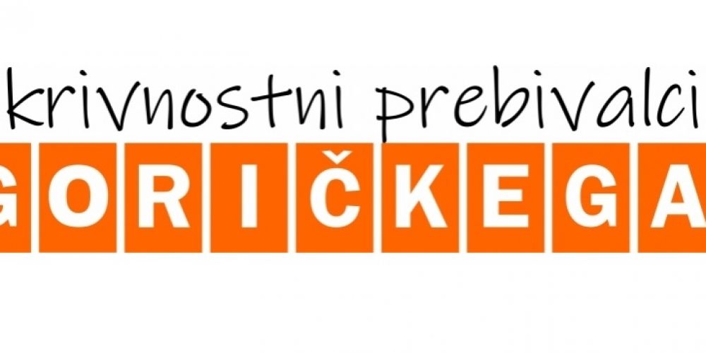 Literarni natečaj 2022